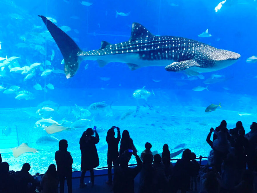 水族館